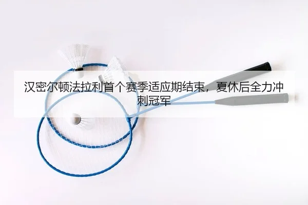 汉密尔顿法拉利首个赛季适应期结束，夏休后全力冲刺冠军
